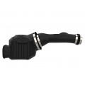 2003-2023 Toyota 4Runner Momentum GT Cold Air Intake System w/ Pro DRY S Filter