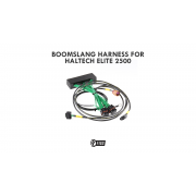2002-2005 LEXUS IS300 Boomslang Wiring Harness for Haltech 2500 2002-2005 LEXUS IS300 Boomslang Wiring Harness for Haltech 2500