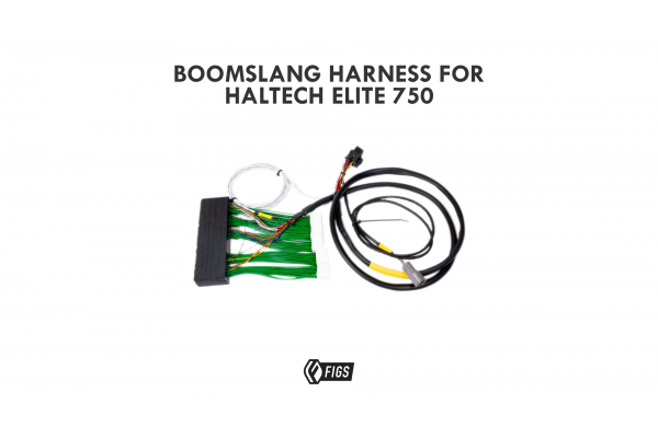 2001 LEXUS IS300 Boomslang Wiring Harness for Haltech 750