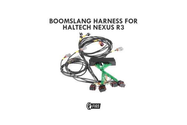2002-2005 LEXUS GS300 Boomslang Wiring Harness for Haltech Nexus R3 2002-2005 LEXUS GS300 Boomslang Wiring Harness for Haltech Nexus R3