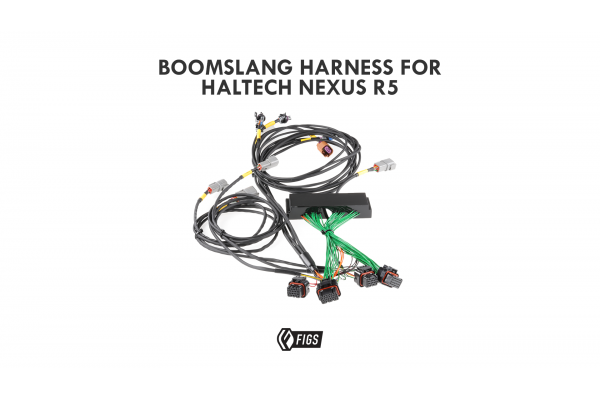 2001 LEXUS IS300 Boomslang Wiring Harness for Haltech Nexus R5