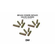 2001-2005 Lexus IS300 Intake Valve Guides 6.0mm (Quantity of 12)