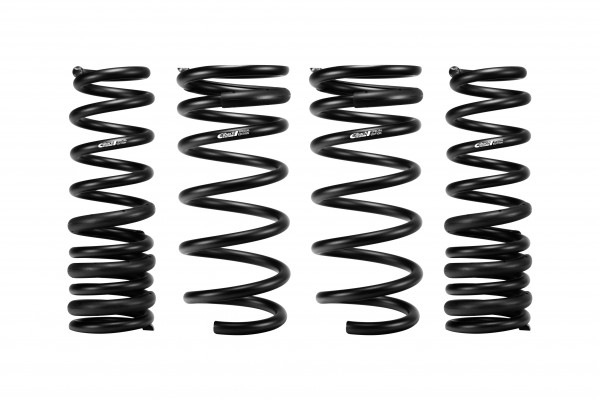 2022-2025 Lexus IS500 Coil Spring Lowering Kit 2022-2025 Lexus IS500 Coil Spring Lowering Kit