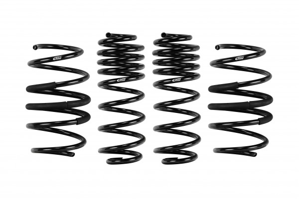 2019-2022 Toyota Corolla Coil Spring Lowering Kit 2019-2022 Toyota Corolla Coil Spring Lowering Kit