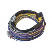 Elite 550 Basic Universal Wire-in Harness
Length: 2.5m (8’).