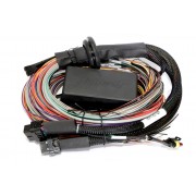 Elite 1000 - 2.5m (8 ft) Premium Universal Wire-in Harness Only
