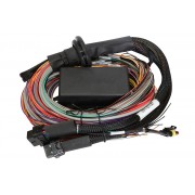 Elite 1500 - 2.5m (8 ft) Premium Universal Wire-in Harness Only
