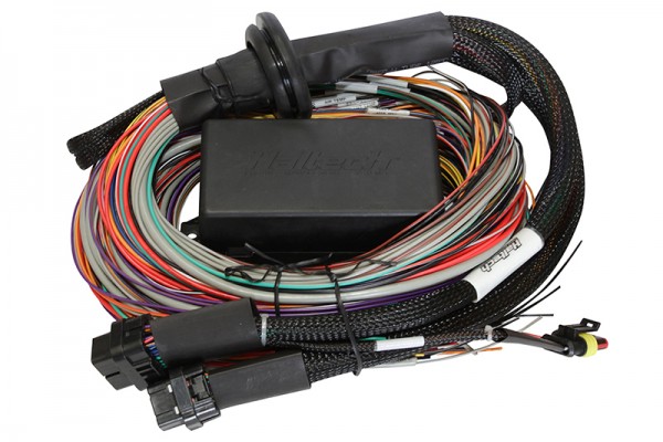Elite 2000 - 2.5m (8 ft) Premium Universal Wire-in Harness Only