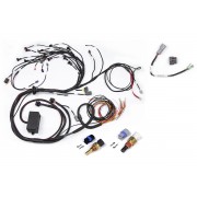 Elite 2000/2500 Nissan RB Terminated Engine Harness Only