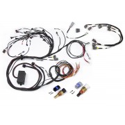 Elite 2000/2500 Nissan RB Terminated Engine Harness Only - Late Ignition