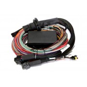Elite 2500 & 2500 T- 2.5m (8 ft) Premium Universal Wire-in Harness Only

