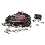 Elite 2500 & Race Expansion Module (REM) 16 Sequential Injector Integrated -   
 