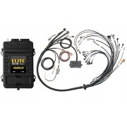 Elite 2500 T with ADVANCED TORQUE MANAGEMENT & RACE FUNCTIONS - Ford Coyote 5.0 Terminated Harness ECU Kit -   
