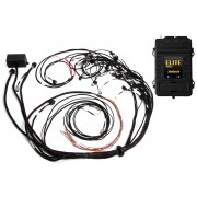 Elite 2500 with ADVANCED RACE FUNCTIONS - Ford Falcon BA/BF Barra 4.0 Terminated Harness ECU Kit