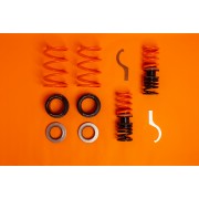 MSS SPORTS FULLY ADJUSTABLE KIT AUDI A4, S4, RS4. A5, S5 & RS5